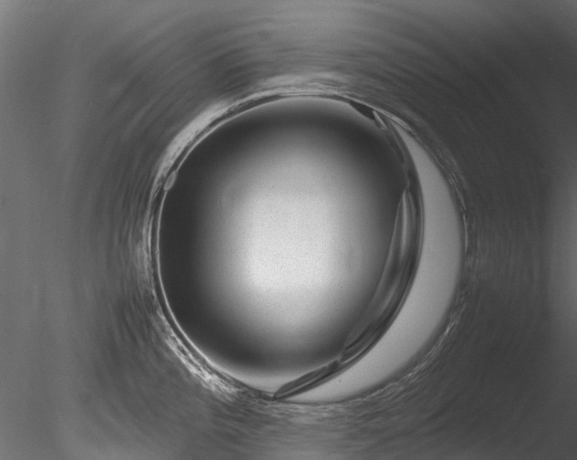 X0000085291196200703161442