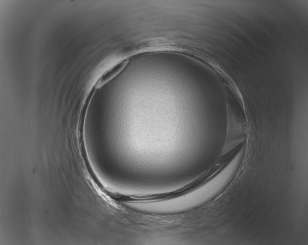 X0000085291197200703161442