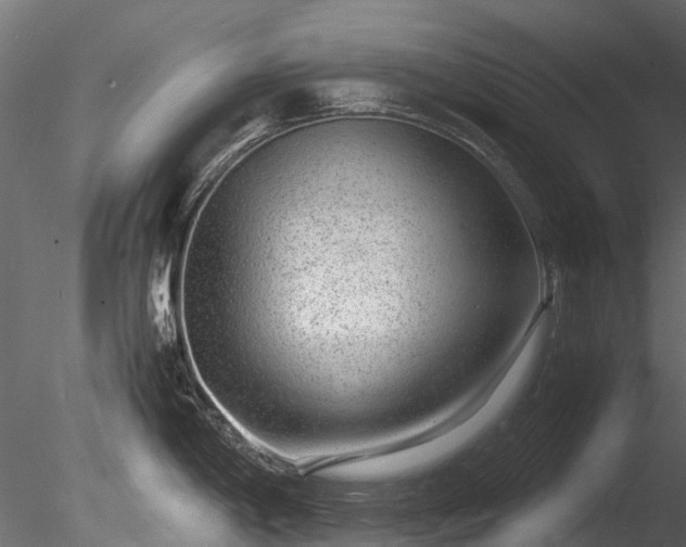 X0000085291198200703161442