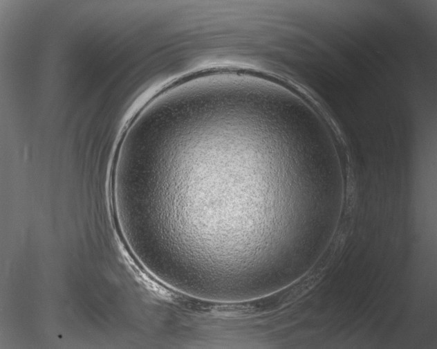 X0000085291199200703161442