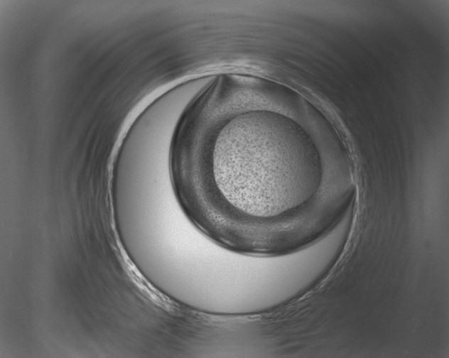 X0000085291200200703161442