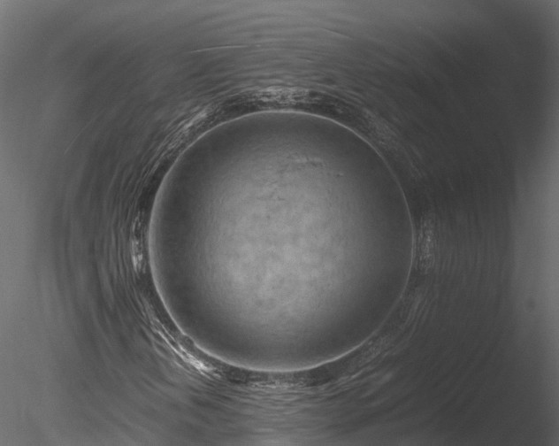 X0000085291202200703161441