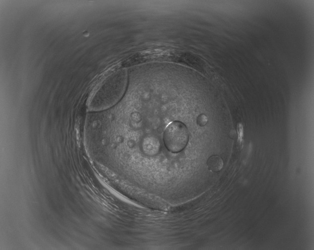 X0000085291203200703161441