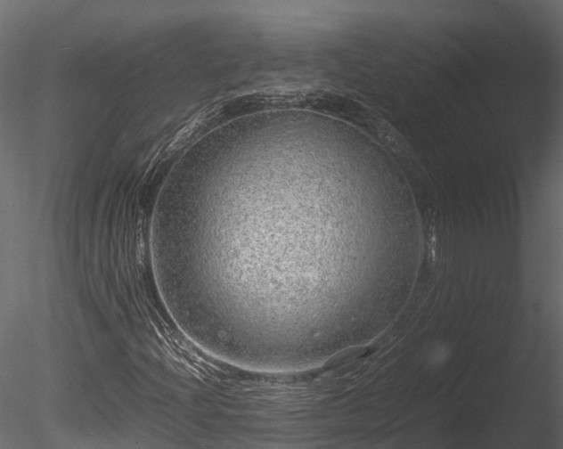 X0000085291204200703161441