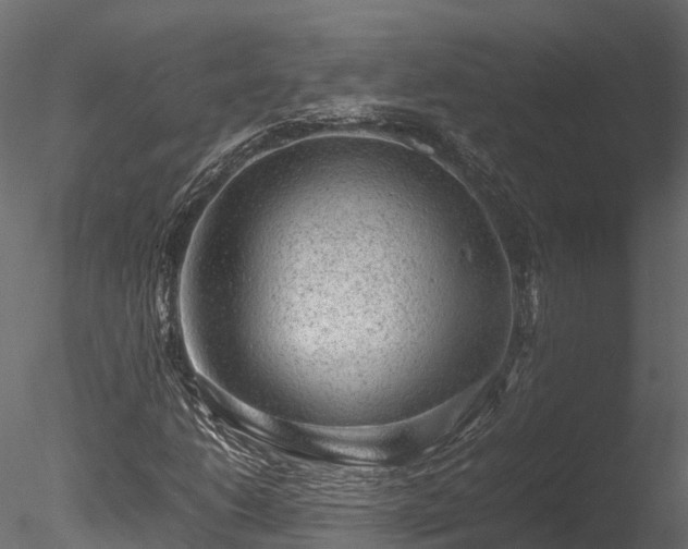 X0000085291206200703161441