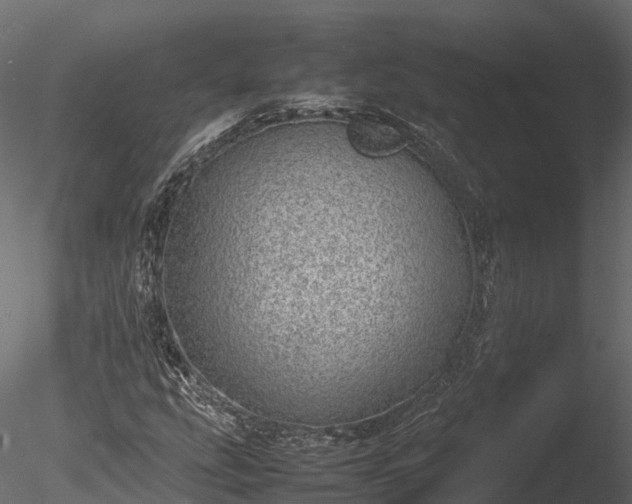 X0000085291207200703161441