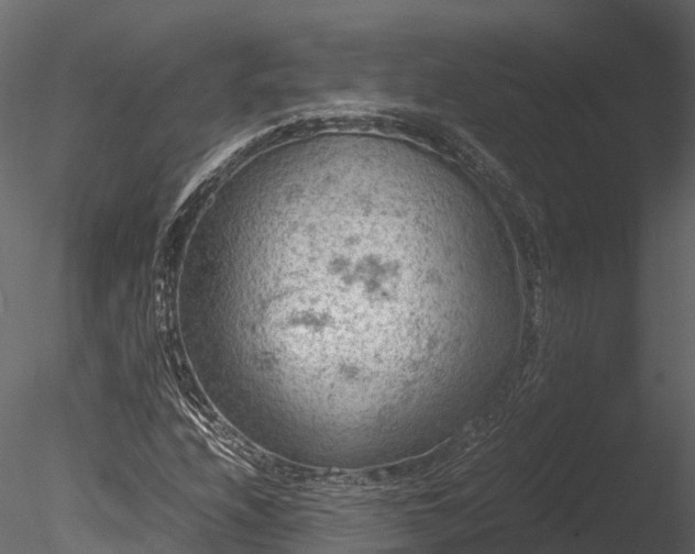 X0000085291208200703161441