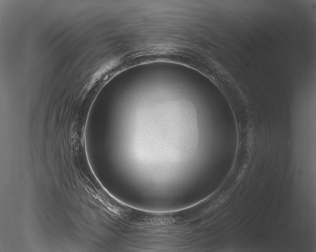 X0000085291210200703161441