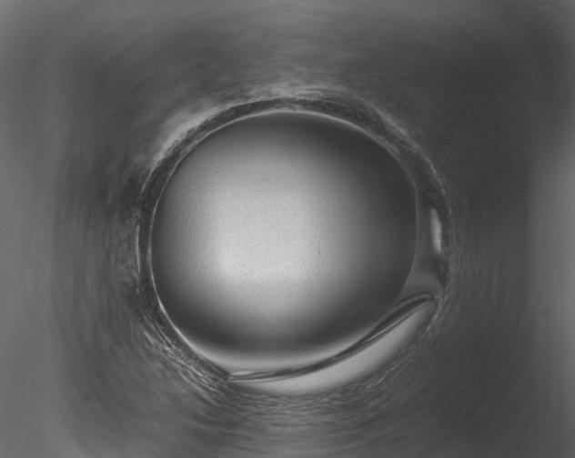 X0000085291214200703161441