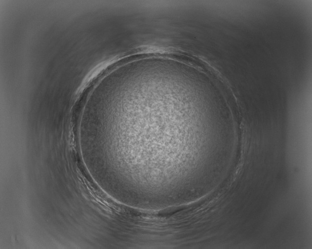 X0000085291215200703161441