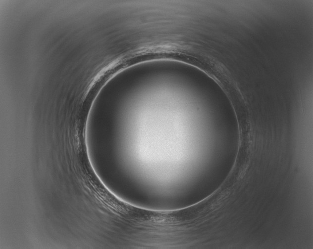 X0000085291218200703161441