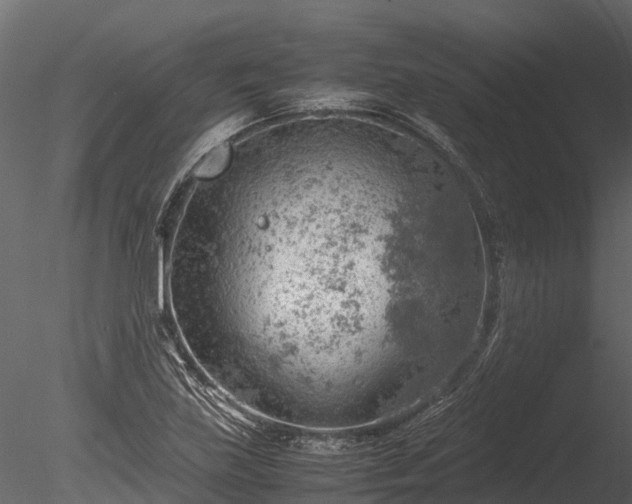 X0000085291219200703161441