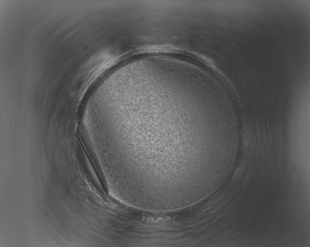 X0000085291221200703161441