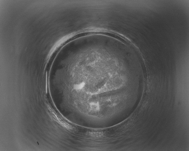 X0000085291223200703161441