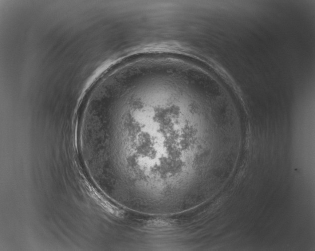 X0000085291224200703161441