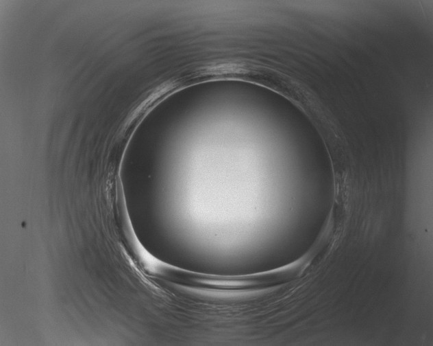 X0000085291225200703161441