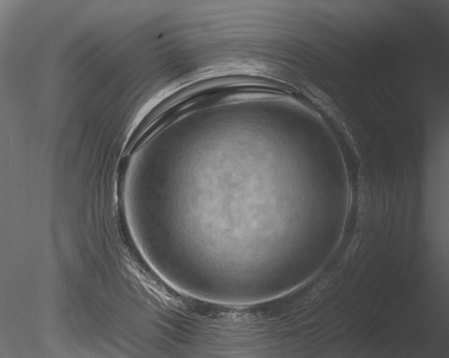 X0000085291226200703161441