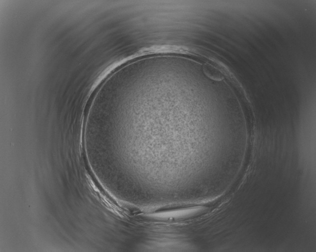 X0000085291228200703161441