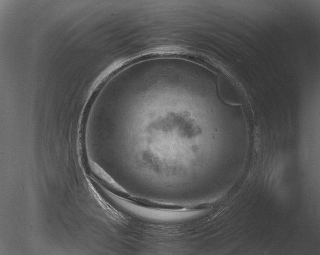 X0000085291229200703161441