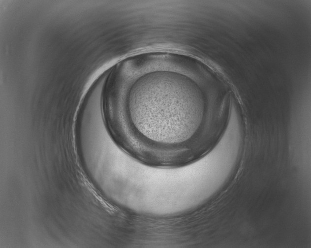 X0000085291230200703161441