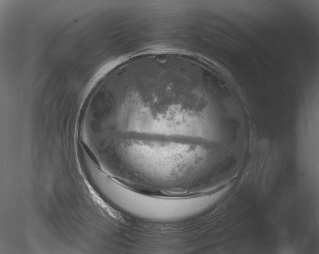 X0000085291231200703161441