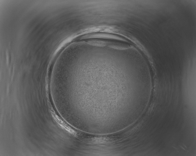 X0000085291232200703161441