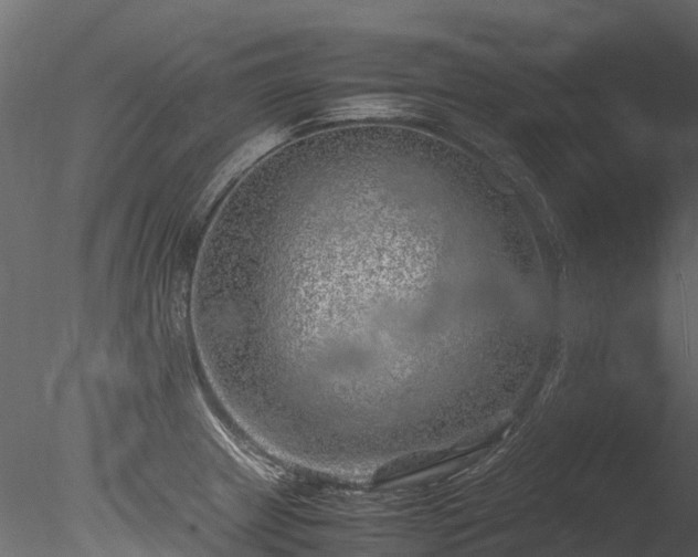 X0000085291233200703161441