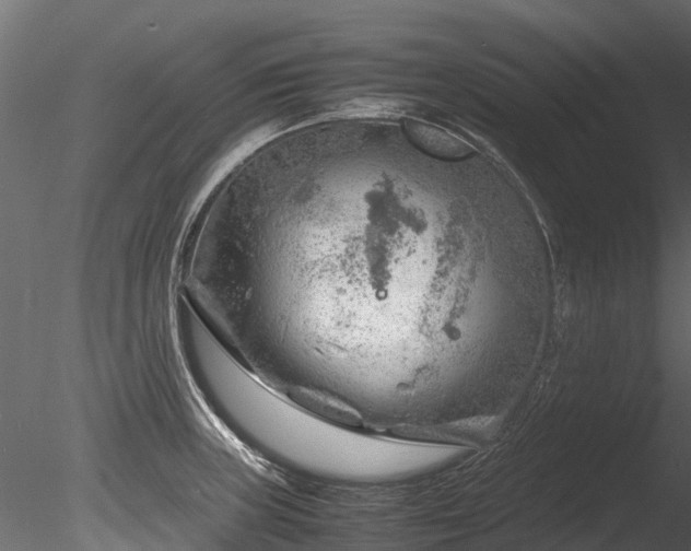 X0000085291235200703161441