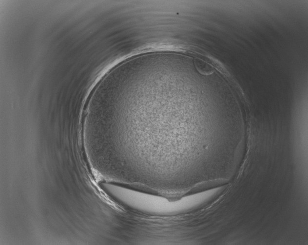 X0000085291236200703161441