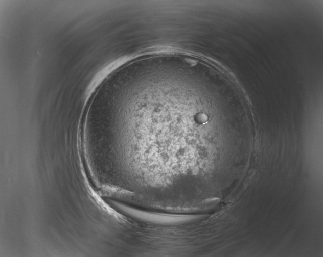 X0000085291239200703161441