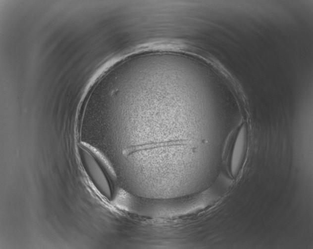 X0000085291240200703161441