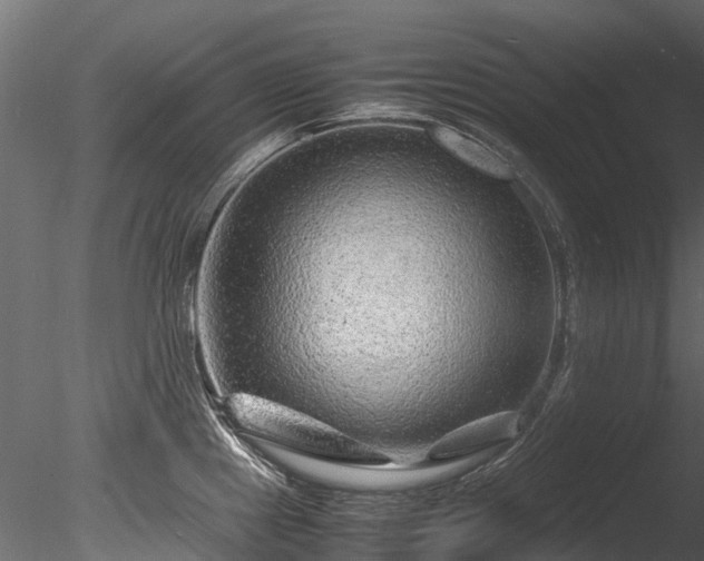 X0000085291241200703161441