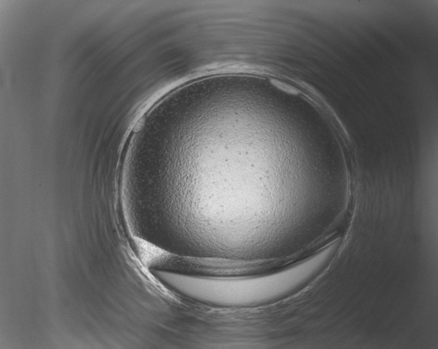 X0000085291244200703161441