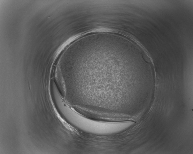 X0000085291245200703161441