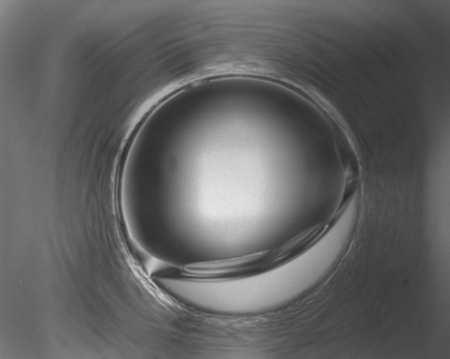 X0000085291246200703161442