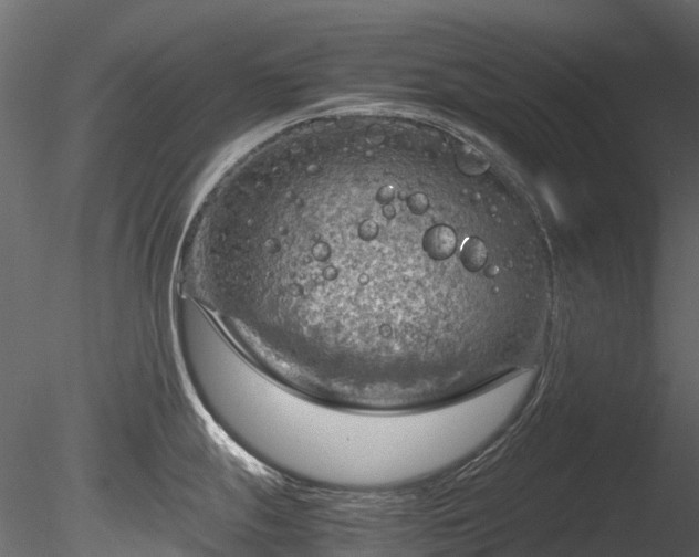 X0000085291247200703161442