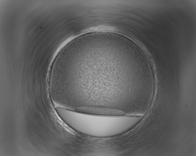 X0000085291248200703161442