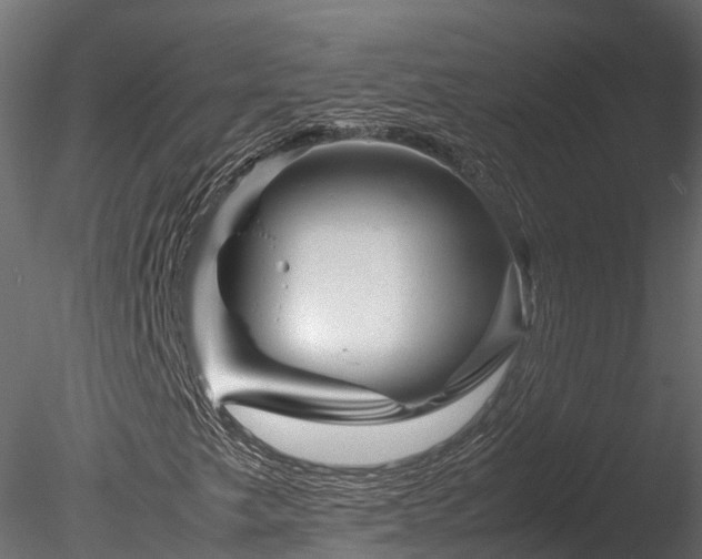 X0000085291249200703161441