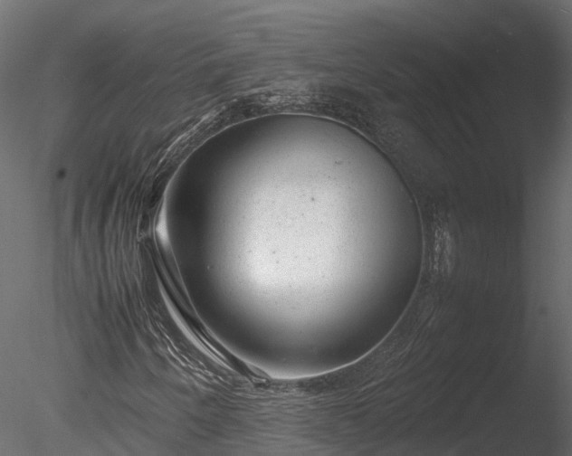 X0000085291250200703161441