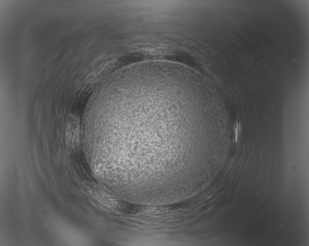 X0000085291251200703161441