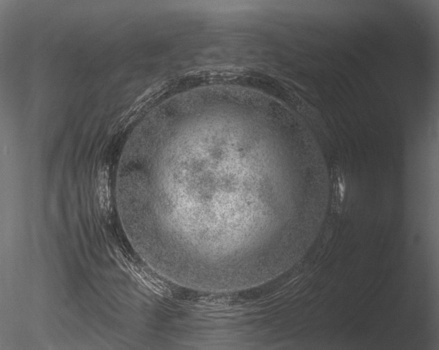 X0000085291252200703161441