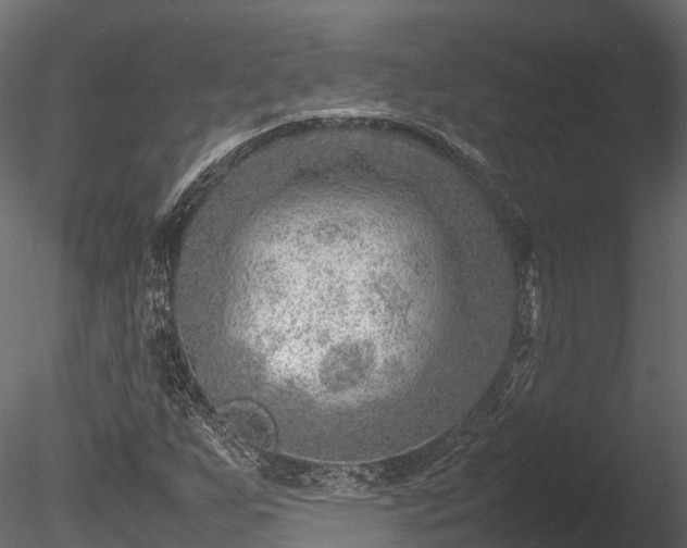 X0000085291255200703161441