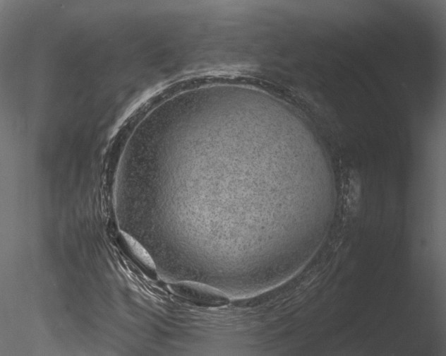 X0000085291256200703161441