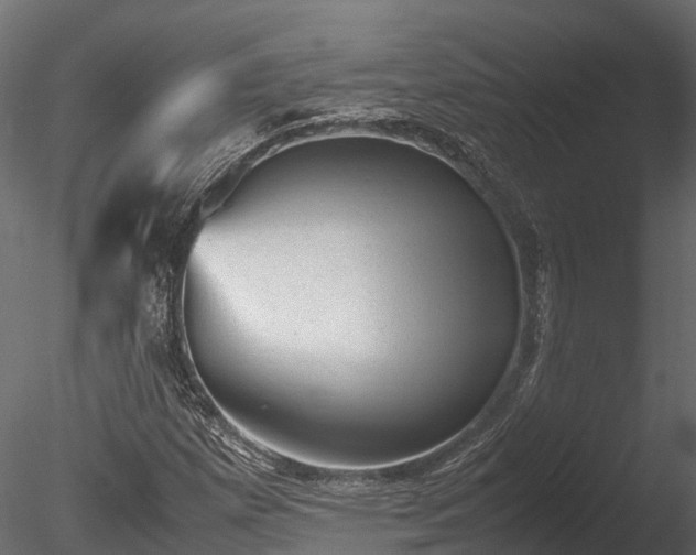 X0000085291257200703161441