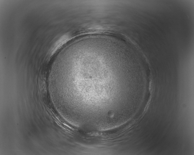 X0000085291259200703161441