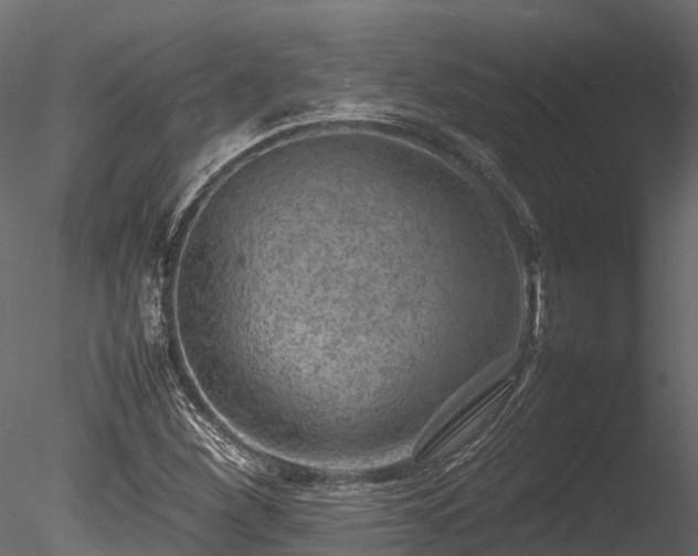 X0000085291260200703161441