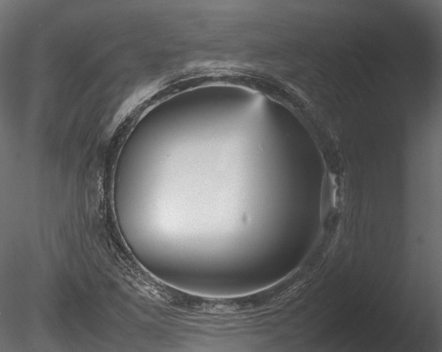 X0000085291261200703161440