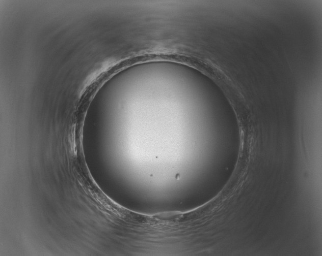 X0000085291262200703161440