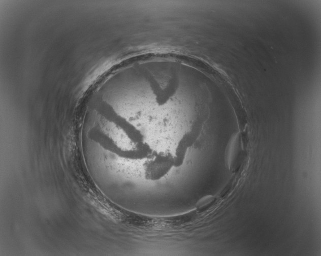 X0000085291263200703161440