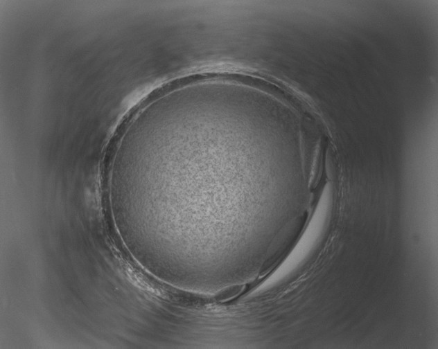 X0000085291264200703161440